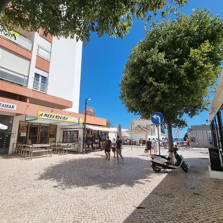 Rocha Vista Mar Brownie